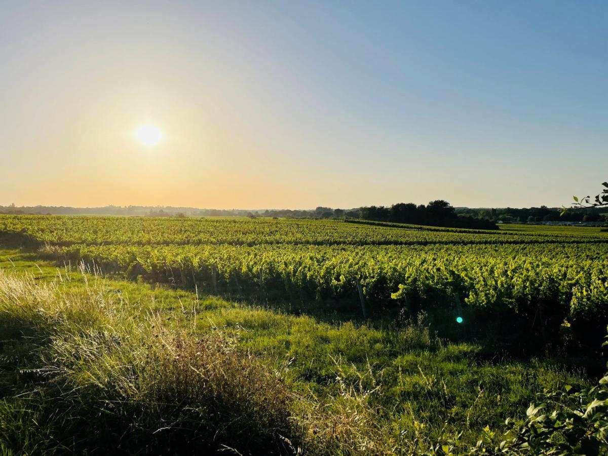 La Vigne D'Or Bed and Breakfast Teuillac Εξωτερικό φωτογραφία